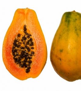 Papaya_cross_section_BNC